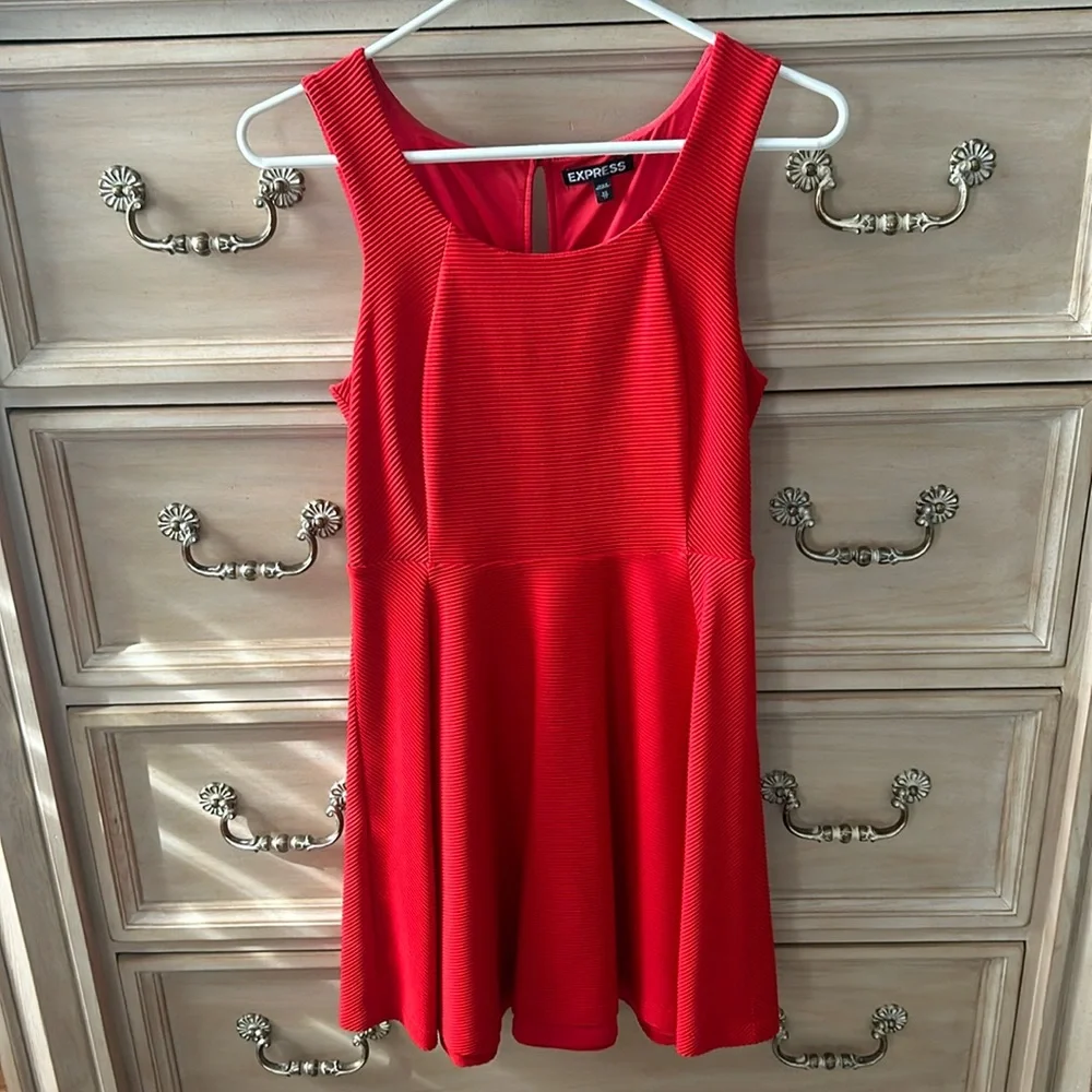 Express Dress - Picture 1 of 3